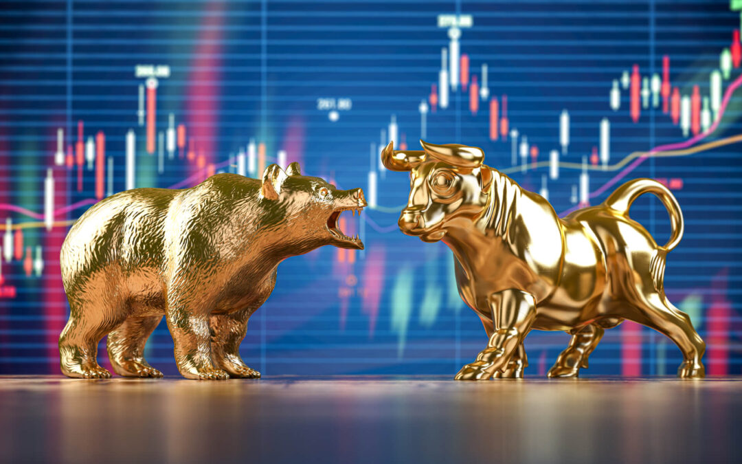 Bull market vs. bear market: Ce înseamnă și cum să tranzacționezi în aceste perioade