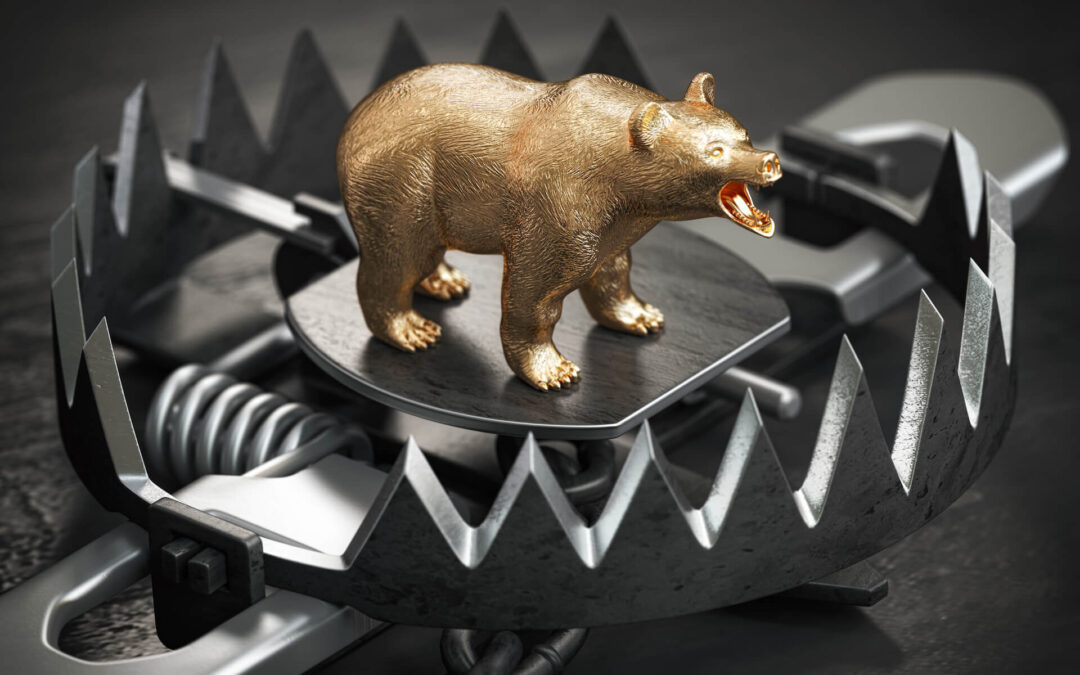 Cum poți obține profit într-un bear market?