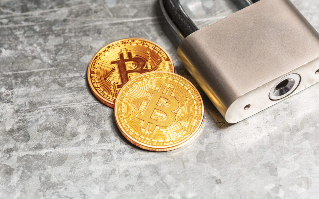 Wallet: Cum să creați un portofel de criptomonede