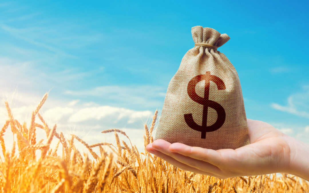 Alimentar: Cum influențează insecuritatea alimentară piețele bursiere