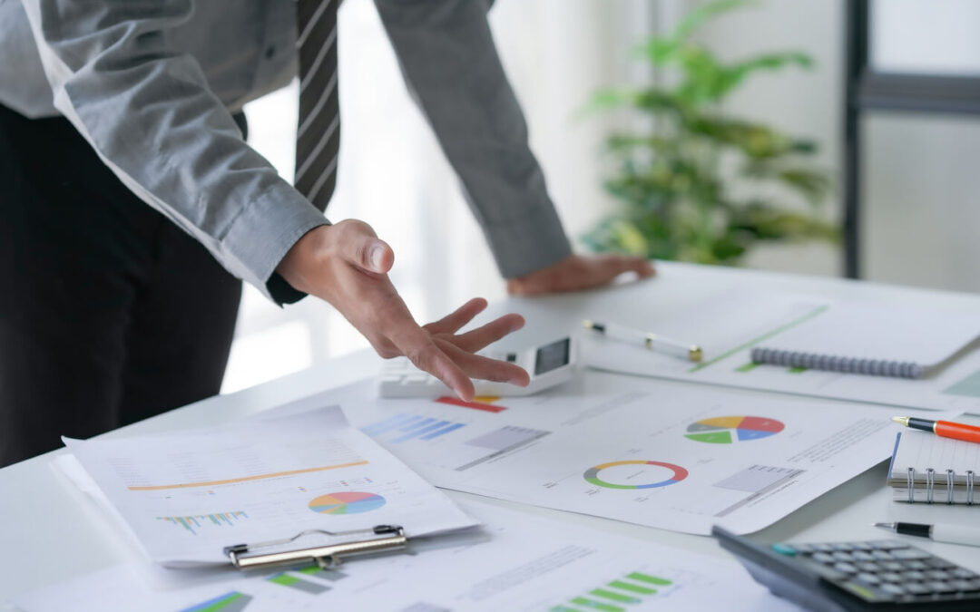 Analiza rapoartelor financiare ale companiilor